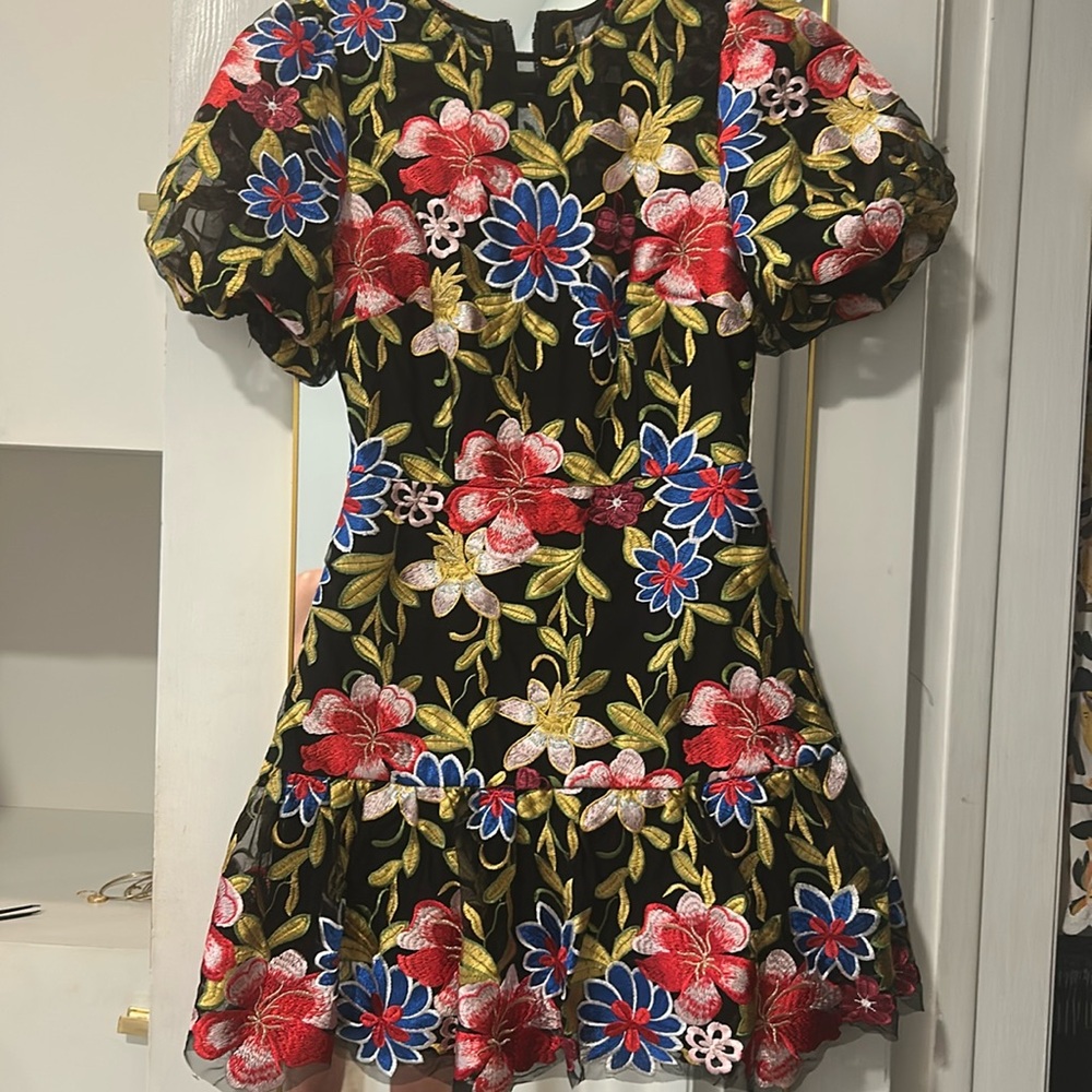 Milly Yasmin Floral Embroidered Flounce Dress